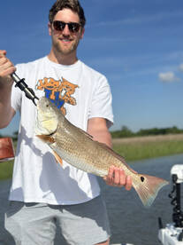 Savannah Report Photo 1