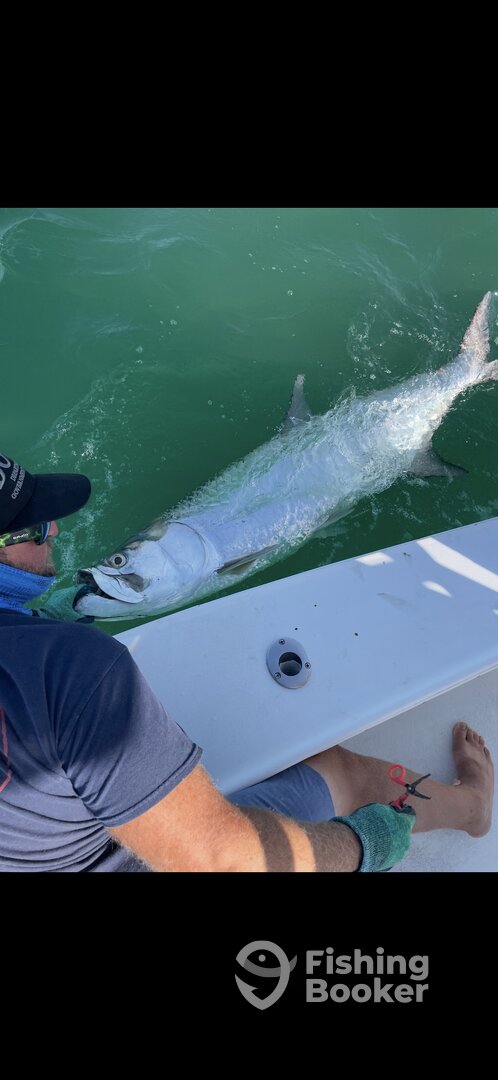 Cape Coral Report Photo 0