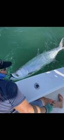 Sanibel Report Photo 1