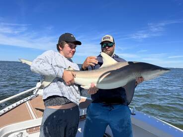 Sanibel Report Photo 1