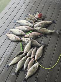 West Tawakoni Report Photo 2