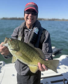 St. Clair Shores Report Photo 1