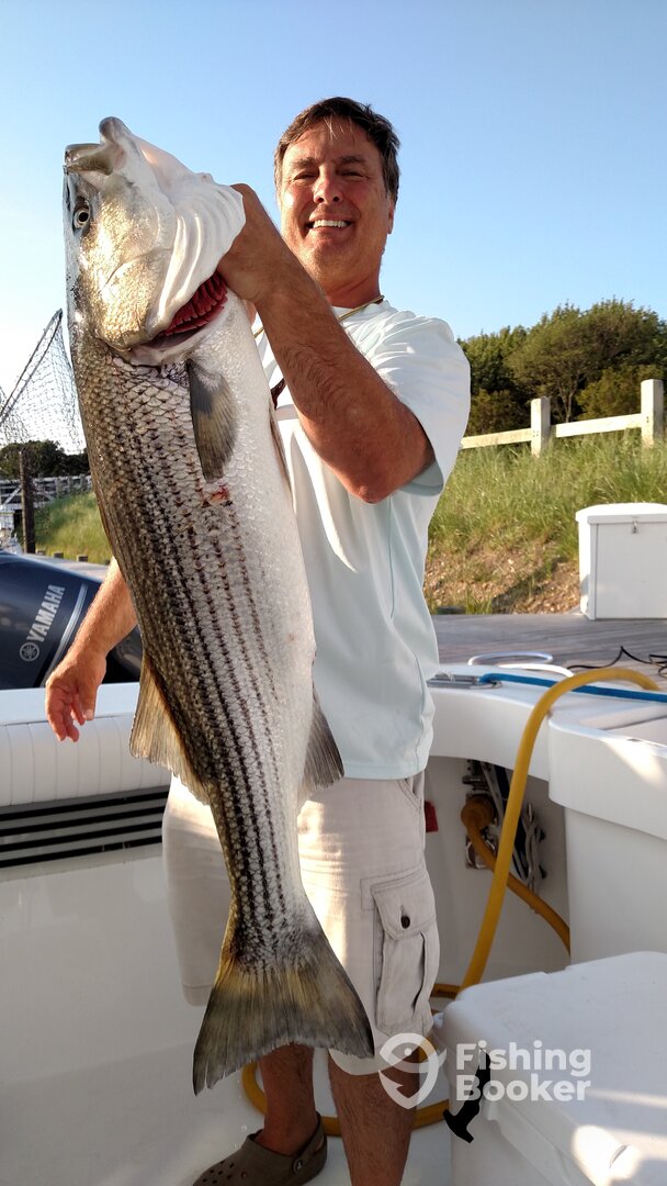 Southold Report Photo 0