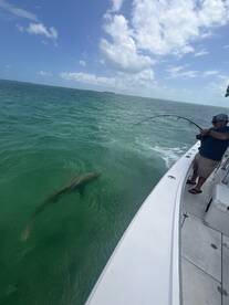 Key West Report Photo 1