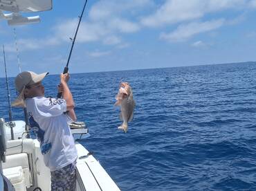 Sarasota Report Photo 2