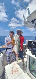Sarasota Report Photo 1