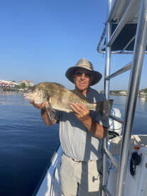 Orange Beach Report Photo 2