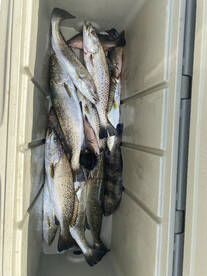 Orange Beach Report Photo 1