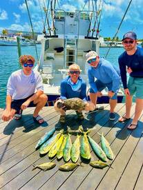 Weed lines everywhere 