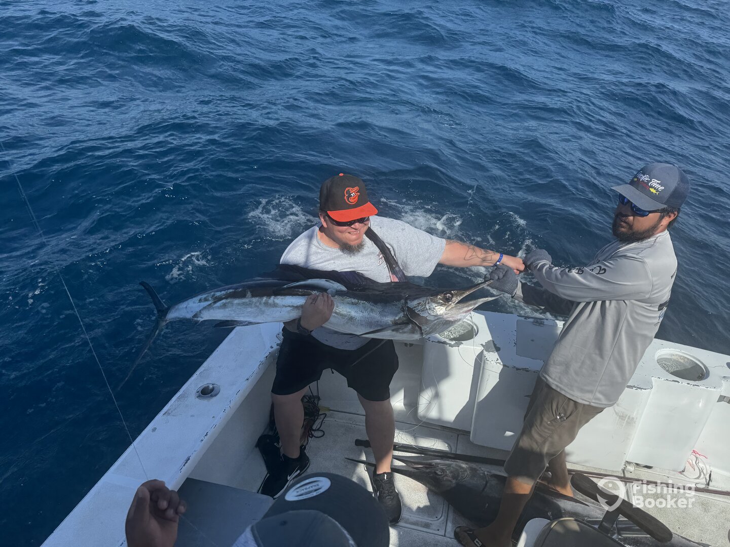 Cabo San Lucas Report Photo 0