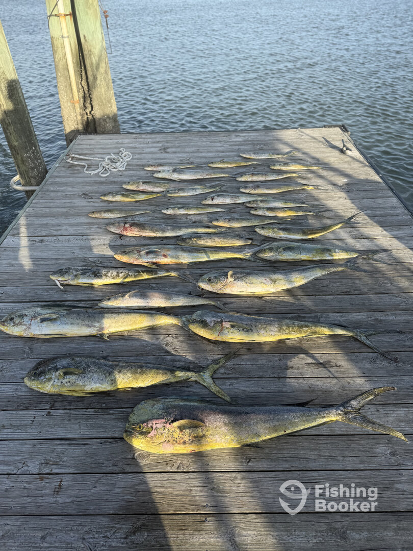 Murrells Inlet Report Photo 0