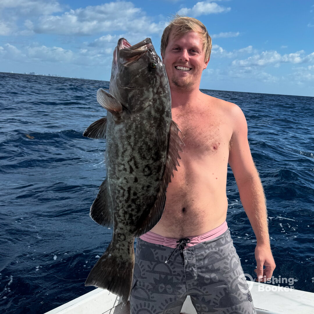 Dania Beach Report Photo 0