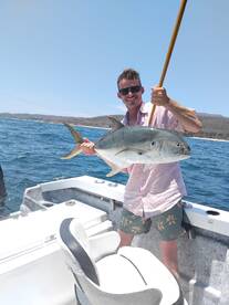 Puerto Vallarta Report Photo 2