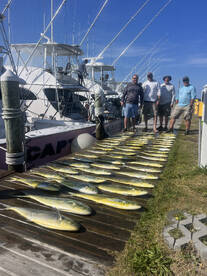 Mahi and Marlin