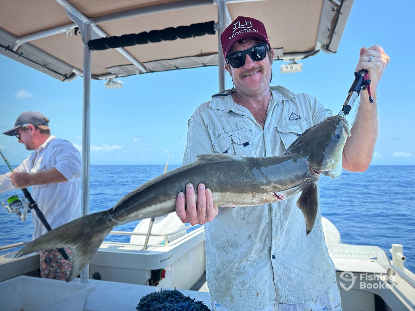 Port Douglas Report Photo 0