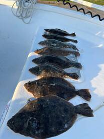 Spring flounder has been great!