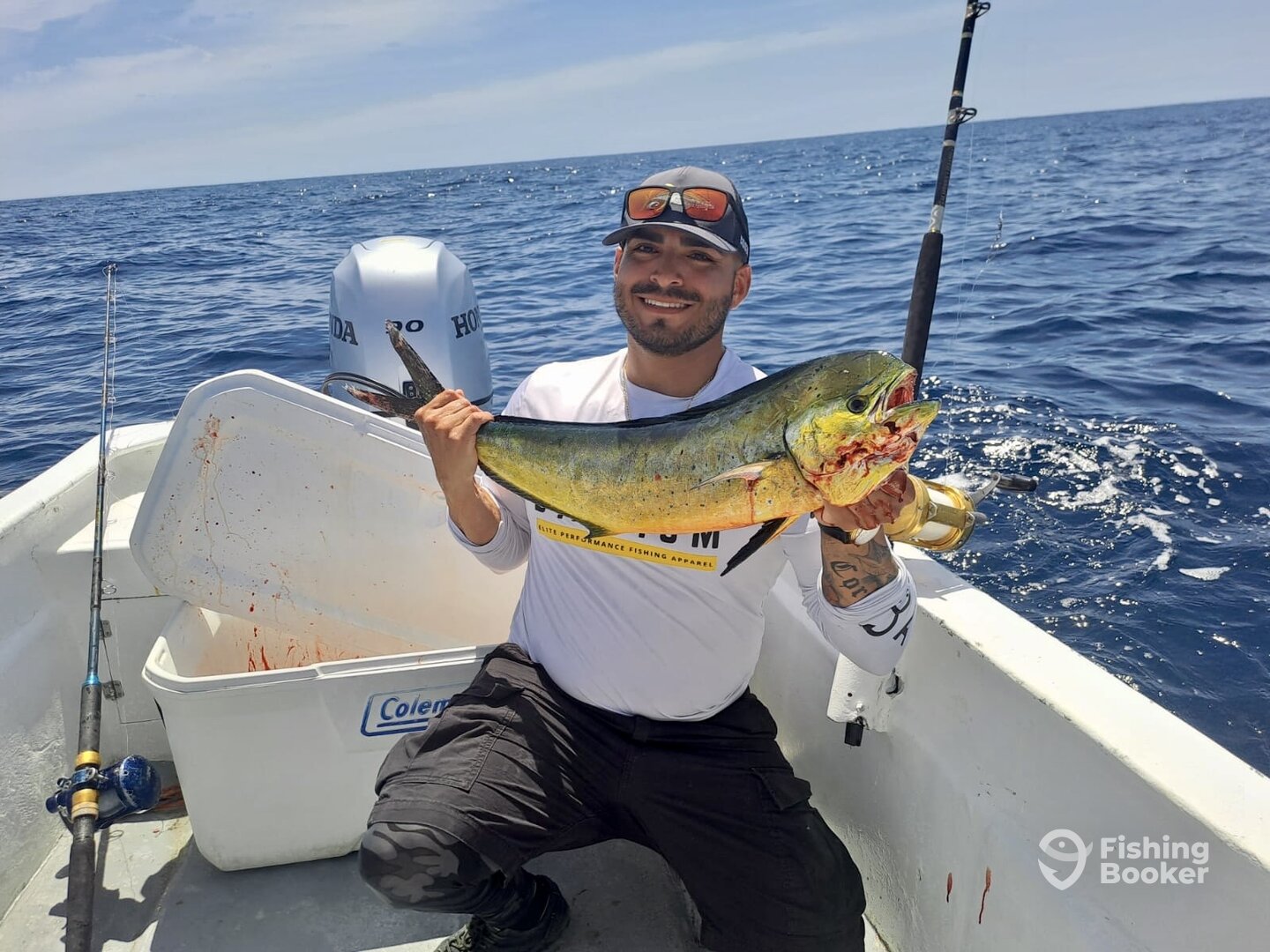 San Jose del Cabo Report Photo 0
