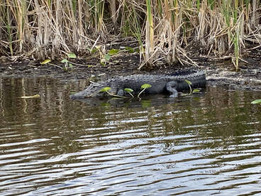 Weston Report Photo 1