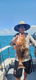 Grouper Grouper grouper where are you!