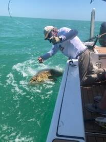 Salt water beasts..