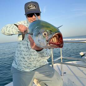Chasing the birds for huge Bonita! 
