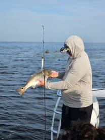 Sight fishing big reds! 
