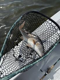Clearwater Report Photo 2