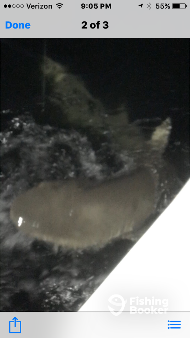 Murrells Inlet Report Photo 0