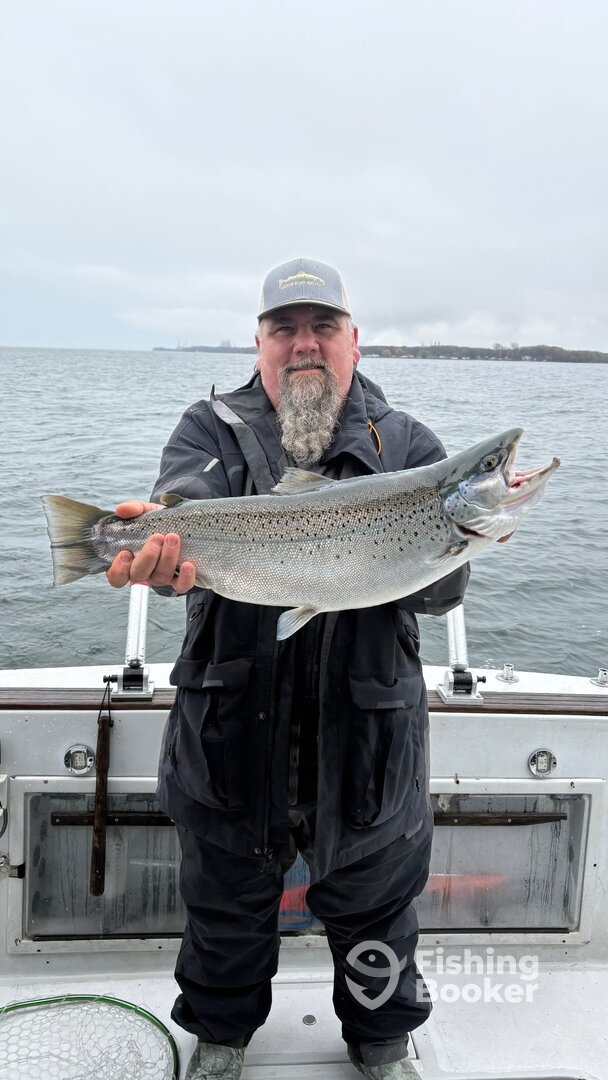 Oswego Report Photo 0