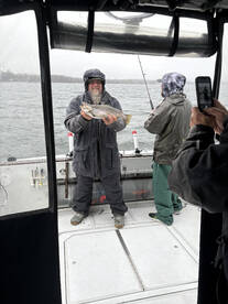 Oswego Report Photo 2