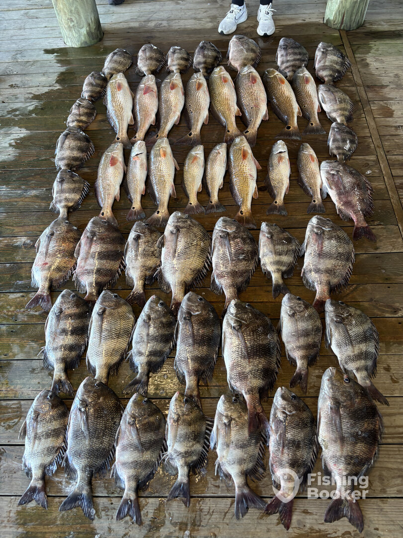 Venice Report Photo 0