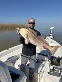 Bull Reds and Black Drum