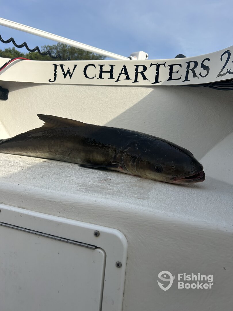Nags Head Report Photo 0