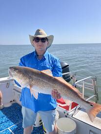 Nearshore bull redfish