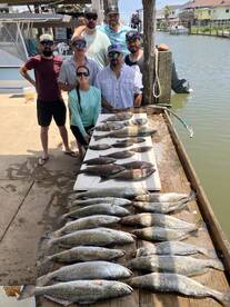 Inshore bay fishing speckled trout, mangrove snapp