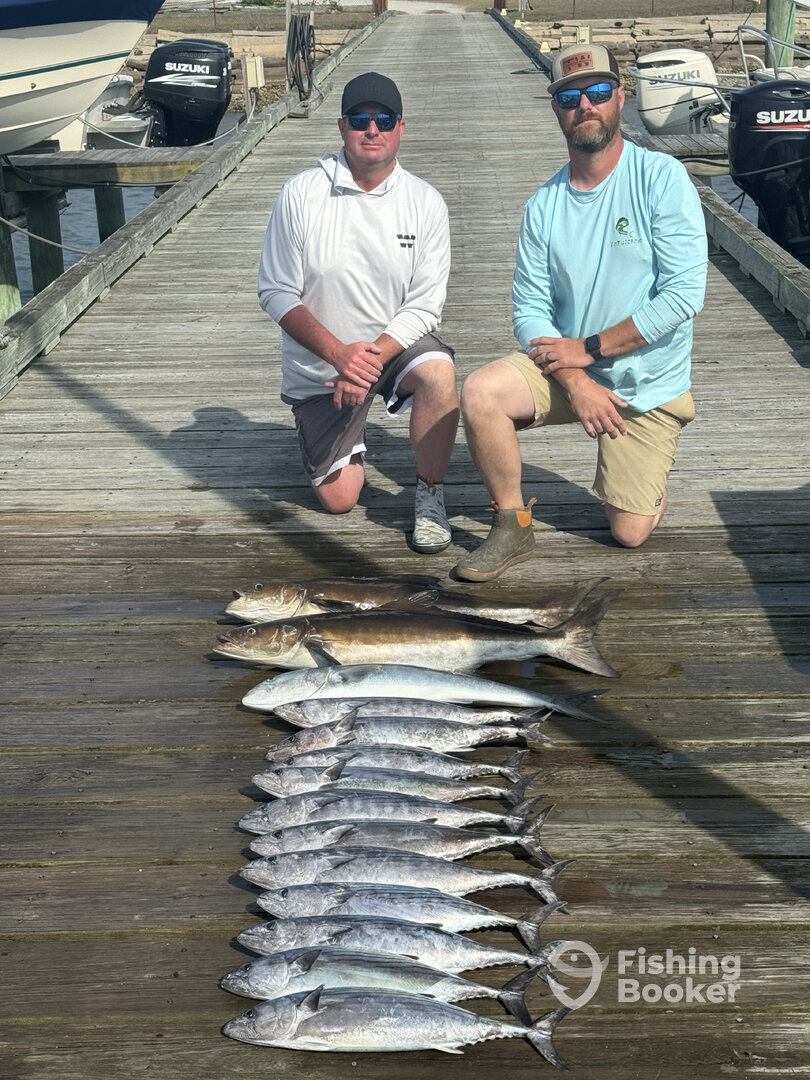 Beaufort Report Photo 0