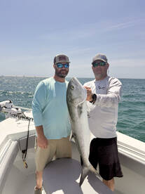 Beaufort Report Photo 1