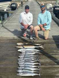 Cobia whisper