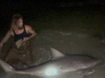 Navarre Report Photo 1
