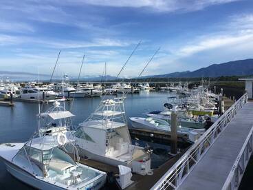 Quepos Report Photo 2