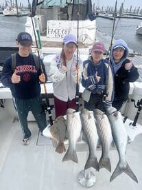 New York City Report Photo 1