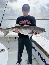 New York City Report Photo 2