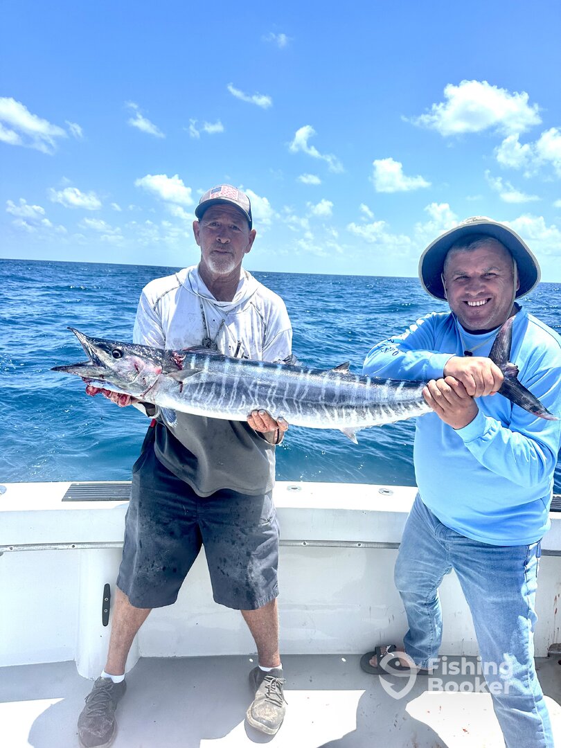 Dania Beach Report Photo 0