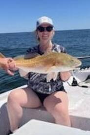 Gulf Shores Report Photo 2