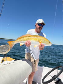 Gulf Shores Report Photo 1
