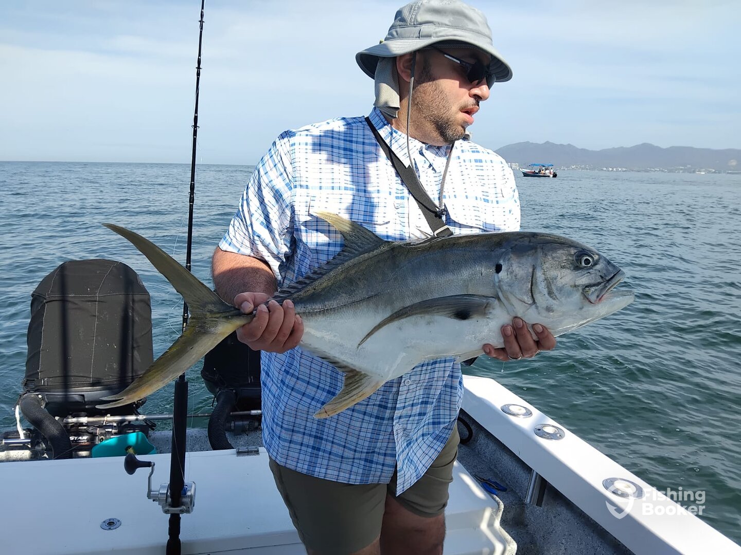 Puerto Vallarta Report Photo 0