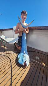 Port Vila Report Photo 2