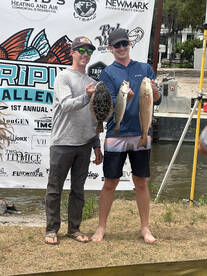 Jacksonville Report Photo 2