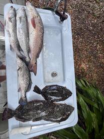 Jacksonville Report Photo 1