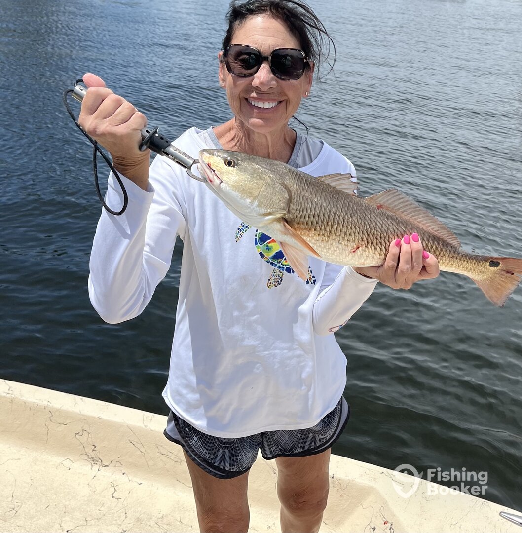 Punta Gorda Report Photo 0